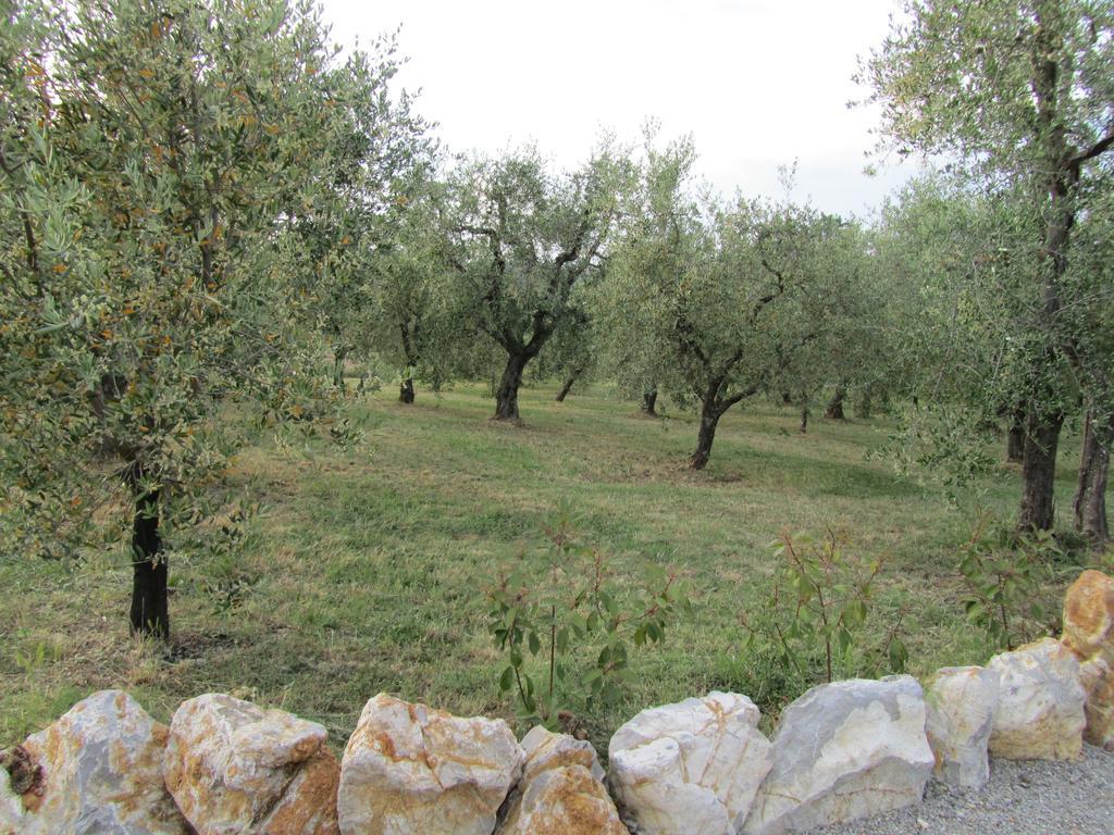 Agriturismo Borghetto Il Montino Rapolano Terme Exterior photo